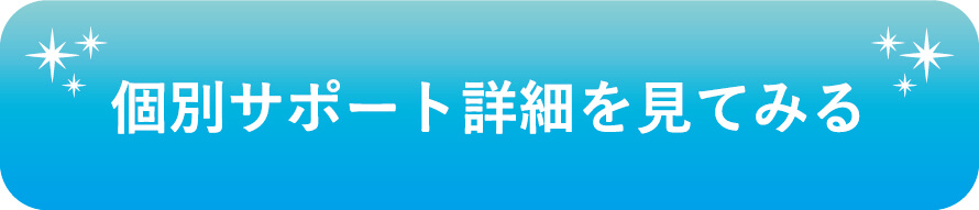 個別サポート　バナー
