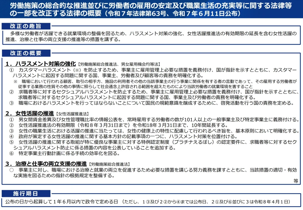 労働施策総合推進法の改正　概要